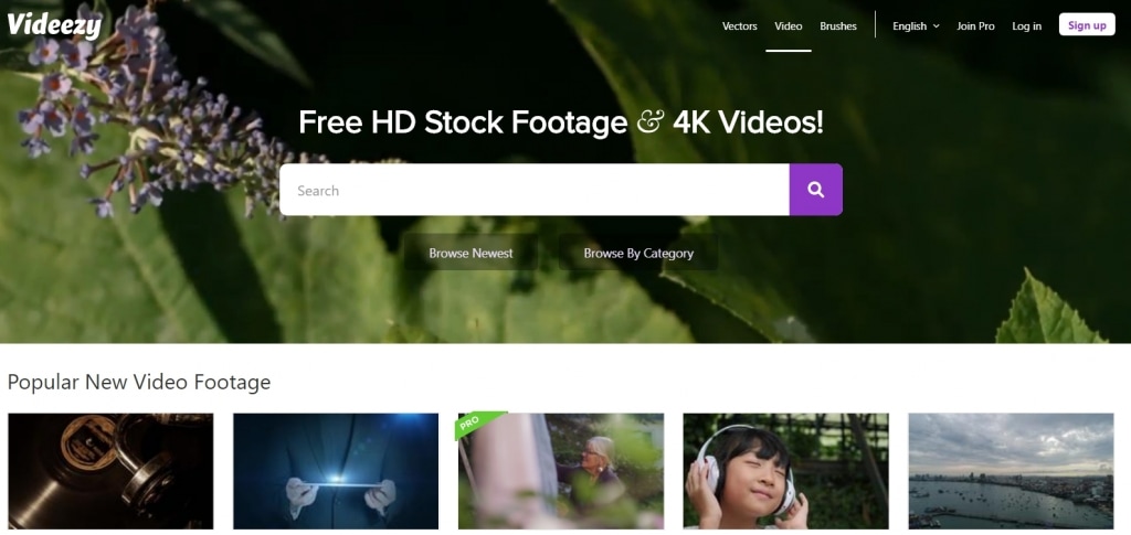 Videezy 免费高清4K视频下载
