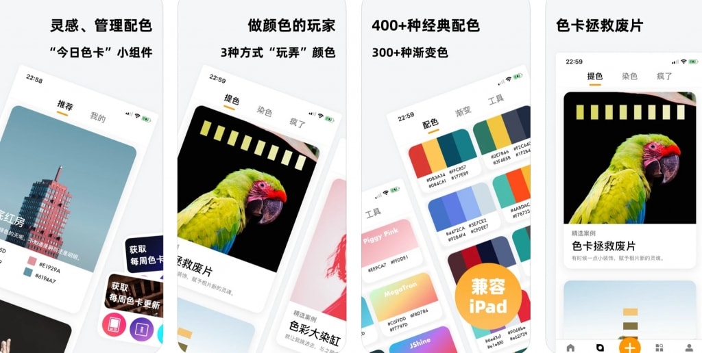 iOS 配色 APP 色卡