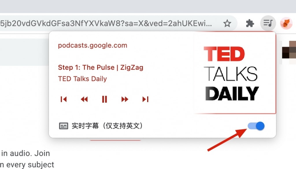 Chrome管理实时字幕